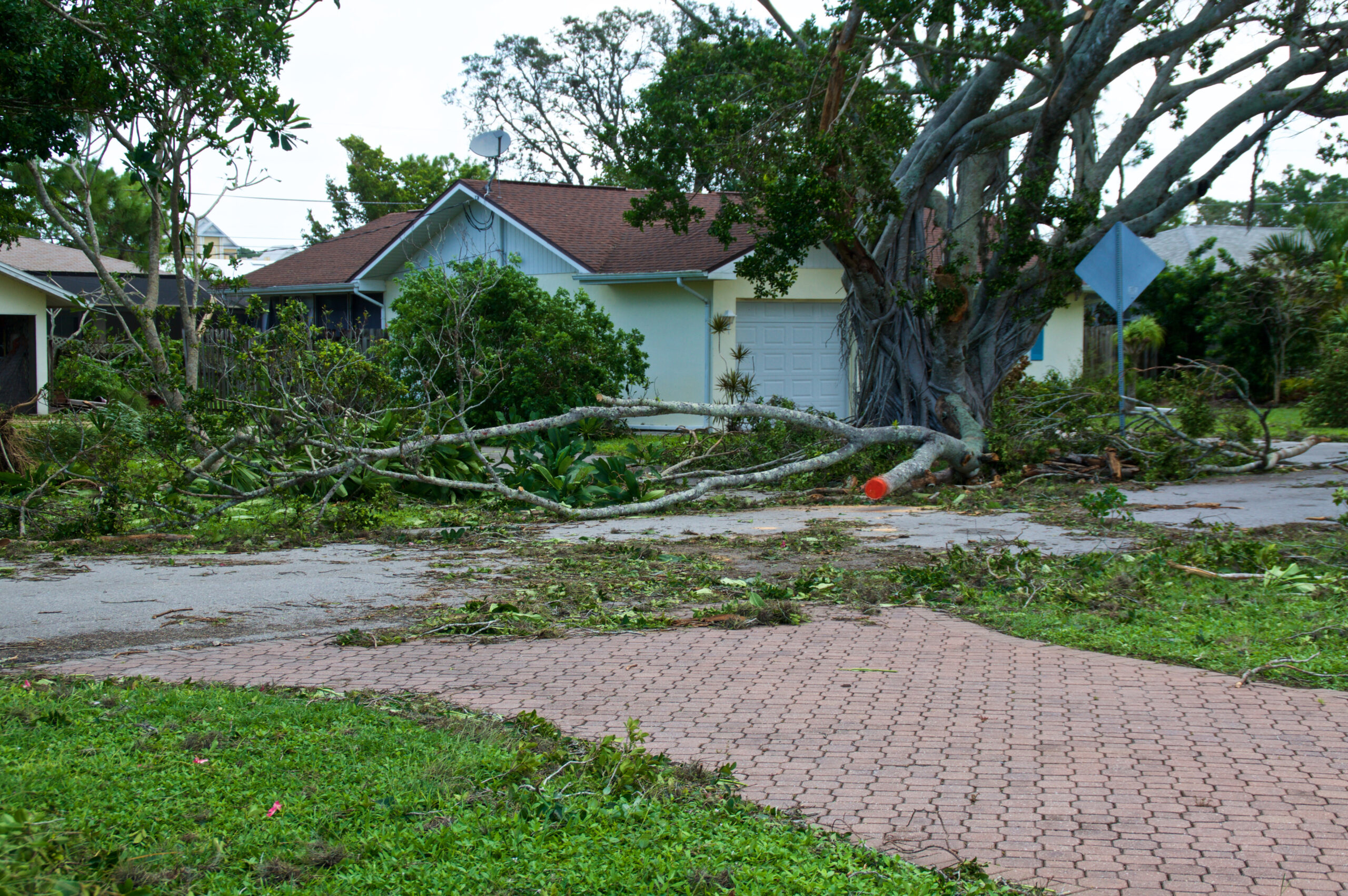 claims surge capacity